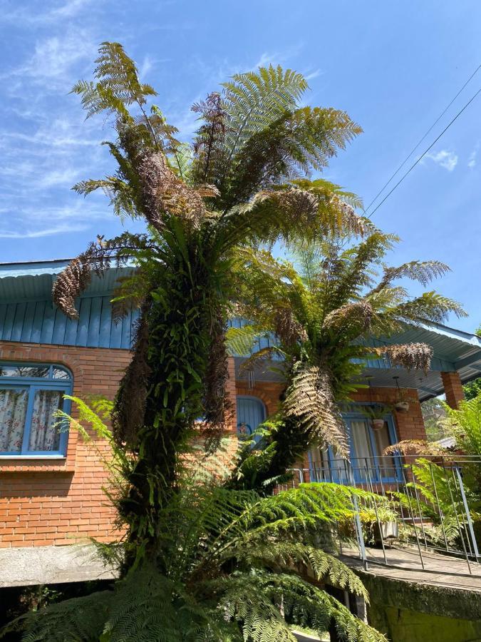 Casa Da Vo Diva No Centro De Gramado Villa Dış mekan fotoğraf